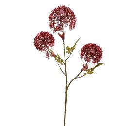 HERACLEUM 90CM RED