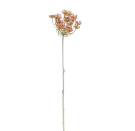 WHITEWASH ANETHUM 72CM BEAUTY