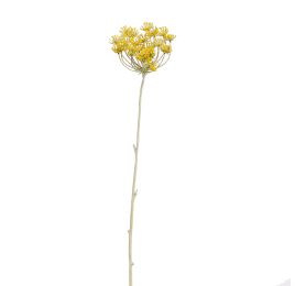 WHITEWASH ANETHUM 72CM YELLOW