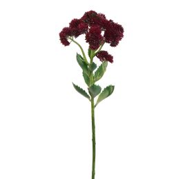 GARDEN SEDUM 57CM PURPLE