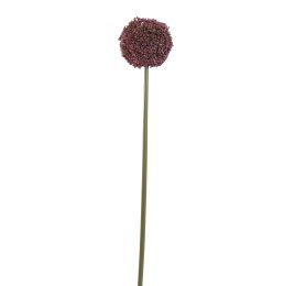ALLIUM 75CM PURPLE