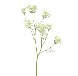 ANETHUM SPRAY 107CM CREAM