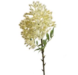 ASTIBLE SPRAY 72CM CREAM