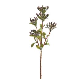 KANGAROO FEET SPRAY 53CM LAVENDER