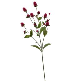 GLOBOSA SPRAY 68CM BEAUTY