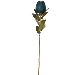 BANKSIA SPRAY 59CM BLUE