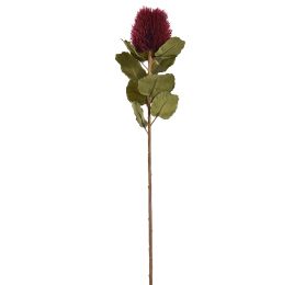 BANKSIA SPRAY 59CM BURGUNDY