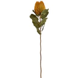 BANKSIA SPRAY 59CM MUSTARD