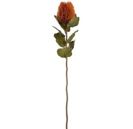 BANKSIA SPRAY 59CM ORANGE