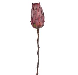 PROTEA 52CM BURGUNDY
