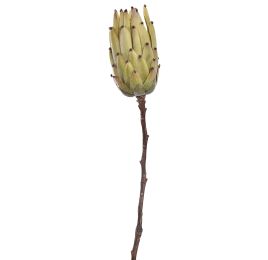 PROTEA 52CM GREEN