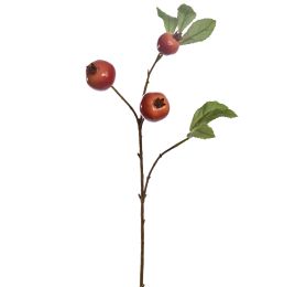 MEGRANATE SPRAY 70CM RED