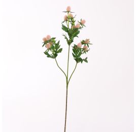 ASIAN THISTLE 61CM PINK