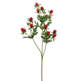 ASIAN THISTLE 61CM RED
