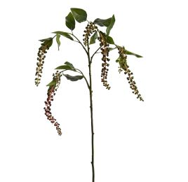 PHYTOLACCA AMERICANA SPRAY 97 CM GREEN
