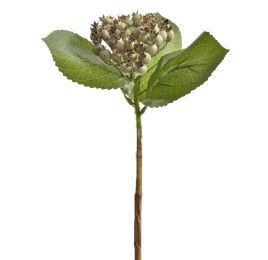 SHORTSTEM BERRY GREEN