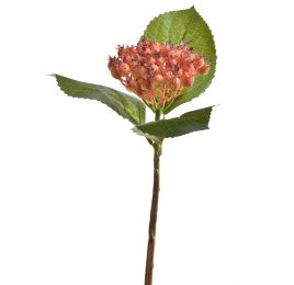SHORTSTEM BERRY 32CM ORANGE