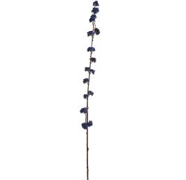 CALLICARPA SPRAY 105CM BLUE