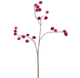 WAXBERRY SPRAY X3 FUCHSIA