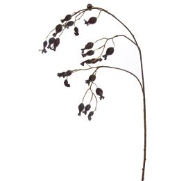 ROSE HIP SPRAY 94CM WINE
