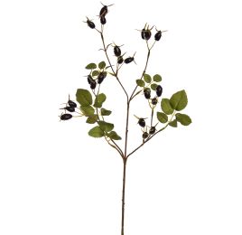 ROSEHIP SPRAY 67CM BLACK