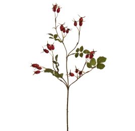 ROSEHIP SPRAY 67CM RED