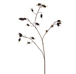 ROSEHIP SPRAY 77CM BLACK