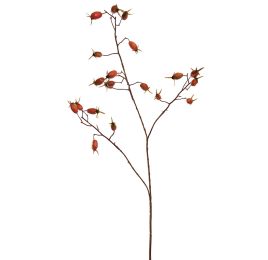 ROSEHIP SPRAY 77CM ORANGE
