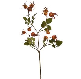 ROSEHIP SPRAY 68CM ORANGE