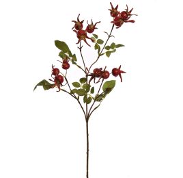 ROSEHIP SPRAY 68CM RED