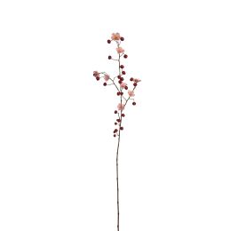APPLE BERRY BLOSSOM 110CM RED