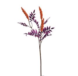 RHUS TYPINA BERRY 100CM ORANGE