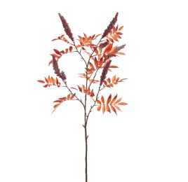 LARGE RHUS TYPINA BERRY 125CM BEAUTY