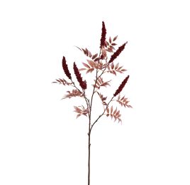 LARGE RHUS TYPINA BERRY 125CM RED