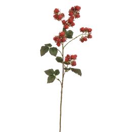 MULBERRY SPRAY 78CM BEAUTY