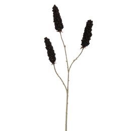 RHUS TYPHINA BERRY 100CM BLACK