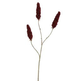 RHUS TYPHINA BERRY 100CM BURGUNDY