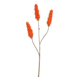 RHUS TYPHINA BERRY 100CM ORANGE