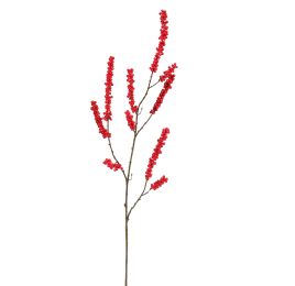 BERRY 114CM BEAUTY