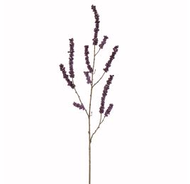 BERRY 114CM PURPLE