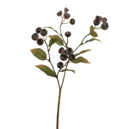 MEDLAR 66CM BROWN