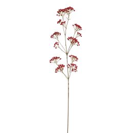 BERRY 110CM RED
