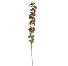 MINI APPLE 137CM BEAUTY