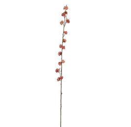 CALLICARPA 105CM PINK