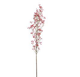 BERRY 121CM BEAUTY