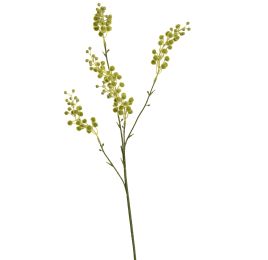 MIMOSA SPRAY 67CM GREEN