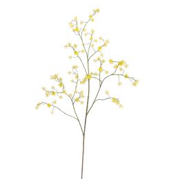 CORNUS MAS 125CM YELLOW