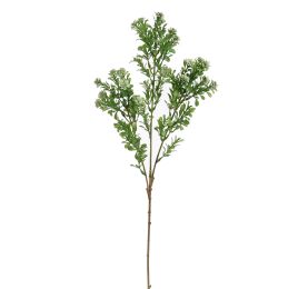 BOXWOOD FLOWER 70CM GREEN