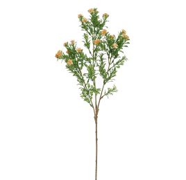 BOXWOOD FLOWER 70CM PEACH