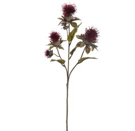 THISTLE SPRAY X3 60CM BURGUNDY